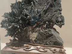 -安徽省地质博物馆