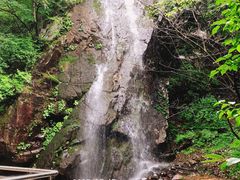 -本溪汤沟绿石谷森林公园