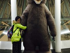 -济州岛泰迪熊博物馆