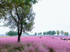 -汉长安城未央宫国家考古遗址公园