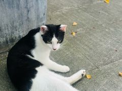 -旅马餐厅(茅家埠店)