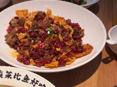 -太二酸菜鱼(正大广场店)