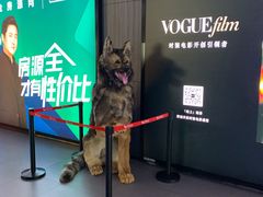 -卢米埃影城(住总万科杜比全景声激光店)