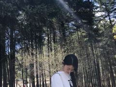 景点-石棉县孟获城