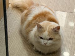 -南昌特色煨汤(马台街店)