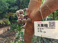 -呀路古热带植物园