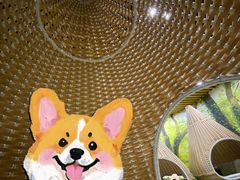 -东方之珠洗浴休闲广场(南开店)