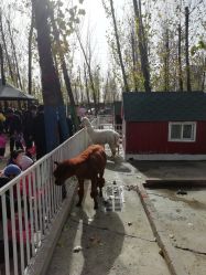 点击看大图 -蓝可可亲子乐园(北苑店)