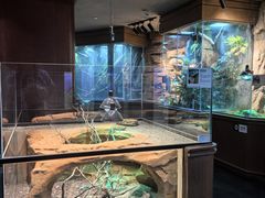 -帕帕拉兹宠物(亚洲旗舰店)