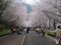 -团城山公园