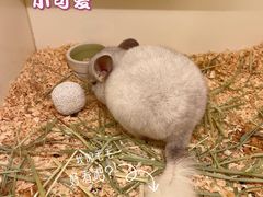 -龙猫仔乐园(惠福东路店)