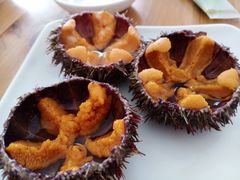 -海胆小馆(东北水饺·春柳店)