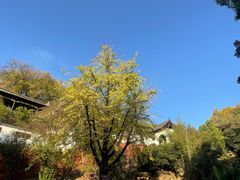 -东坡赤壁风景名胜区