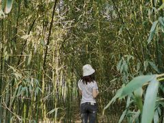 -丰台花园