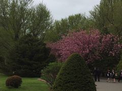 -北海道厅旧本厅舍(旧本庁舎)