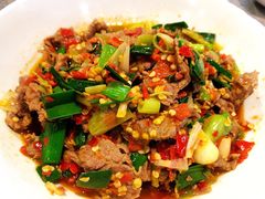-壹盏灯(惠农店)