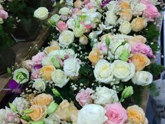 -淘花源花艺鲜花店 开业花篮 绿植(南部商务区店)