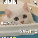 猫猫🐱狗狗🐶，更爱哪个？