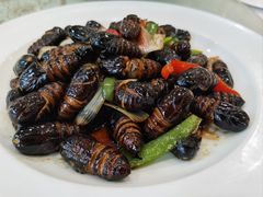 葱炒茧蛹-红高粱大酒店(宁山东路店)