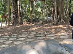 -中国科学院西双版纳热带植物园