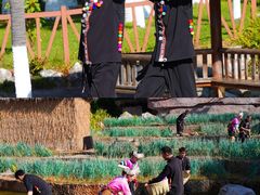 -云南民族村