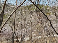 -北京十三陵国家森林公园蟒山景区