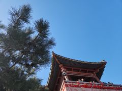 -香山公园