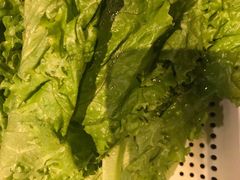 生菜-新石器烤肉(百联川沙店)