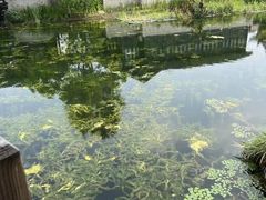 -西山漾湿地公园