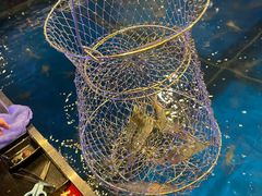 -钳真多钓虾馆·小龙虾海鲜烧烤(九六广场店)