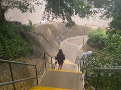 -讯号山花园