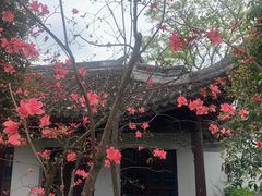 -上海佘山国家森林公园天马山园