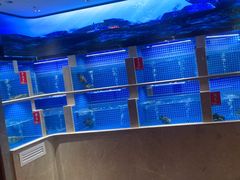 -贡宴盐帮菜自贡驻京联络处餐厅