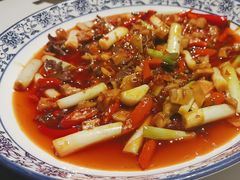 -院8里·小聚园老川菜(九眼桥店)