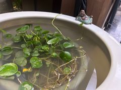 -宴昆山·私房菜(春晖店)