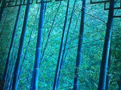 -金来·影院足道(埃美柯店)