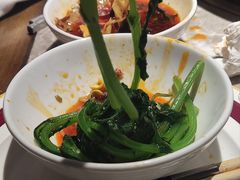 -新渝城·川菜·火锅(区庄店)