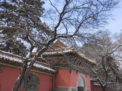 -北陵公园