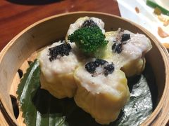 -点都德·毕德寮