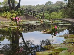 -广州莲花山旅游区