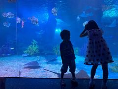 -泉城欧乐堡海洋极地世界