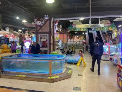 点击看大图 -卡通尼·Safari非洲探索乐园·生日会(金桥国际商业广场店)