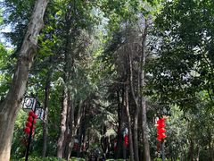 -阅江楼风景区