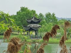 -眉山湿地公园(东坡区)