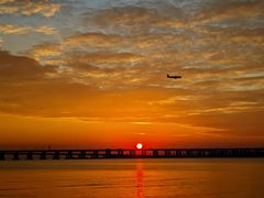 -宝安西湾红树林湿地公园