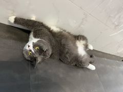 -乐果甜心·潮汕冰室(南澳后宅分店)