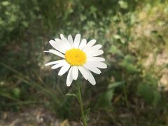 -小绿谷公园