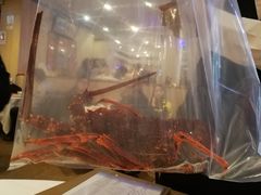 -金唐海鲜酒家