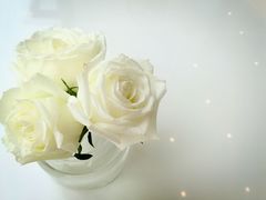 -PETIT PARIS 小巴黎(凯德1818店)