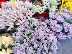 -循礼门鲜花花市(武汉循礼门店)